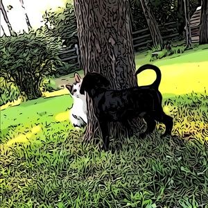 Meet your Posher, Cooper